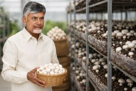 Andhra Pradesh government announced the ‘Mushroom Mission’