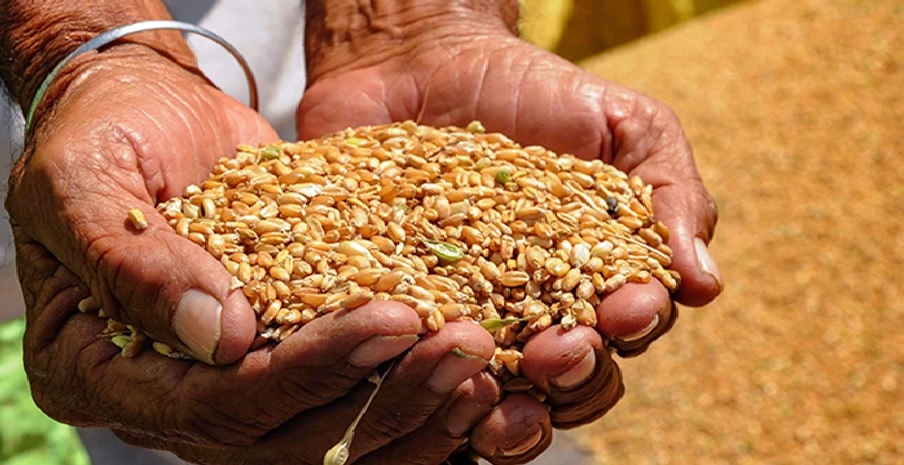 Seeds Bill 2025: An important step towards empowering Indian agriculture