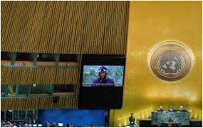 A Historic Resolution by the UN General Assembly: A New Step Towards Transparency and Effectiveness in Global Governance