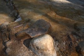 Rare Genetic Discovery of Neanderthal Community in Poland