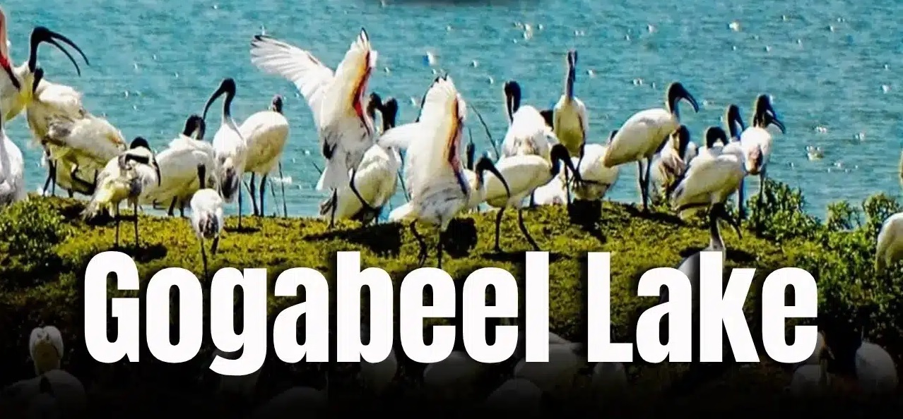 Govt approves 7 electronics component manufacturing projects under incentive scheme