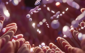 Kerala has taken a unique, science-based step by making a microorganism a part of its state identity for the first time