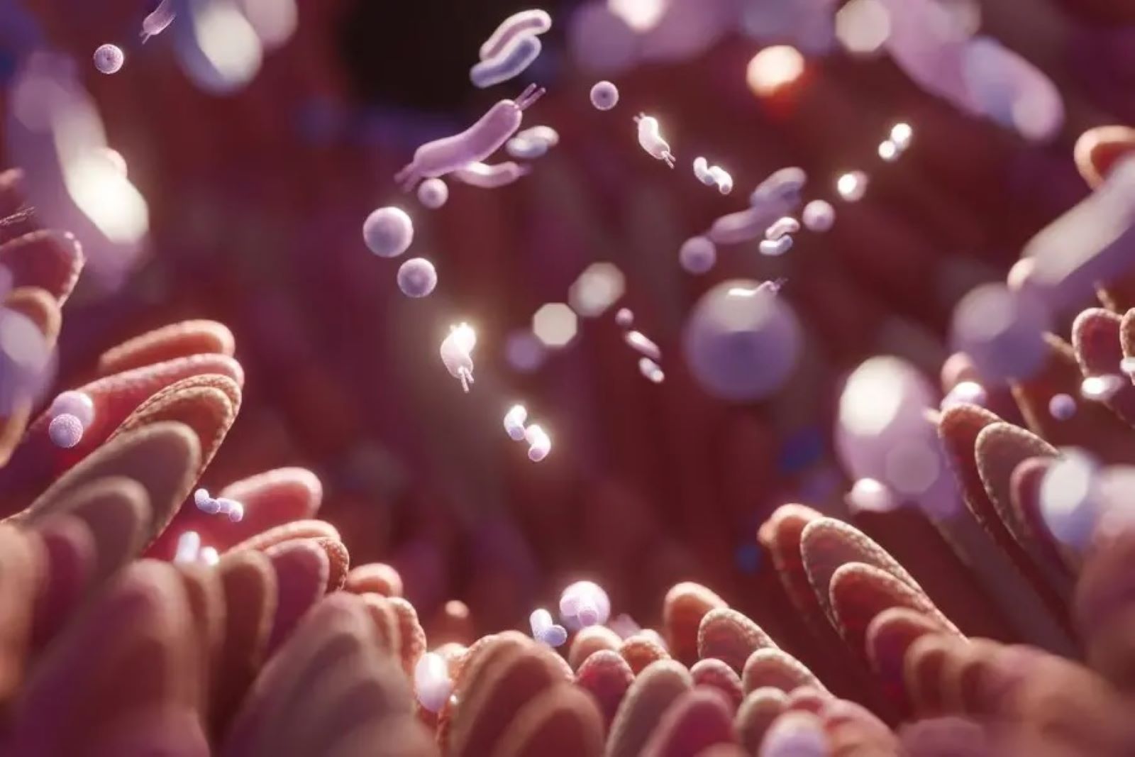 Kerala has taken a unique, science-based step by making a microorganism a part of its state identity for the first time