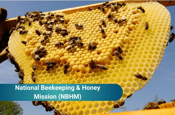 National Beekeeping and Honey Production Mission