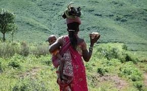 CAG Report Reveals Serious Flaws in Odisha's PVTG Schemes