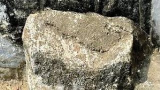 A 16th-century Telugu inscription has been discovered in Tadipatri town of Anantapur district in Andhra Pradesh
