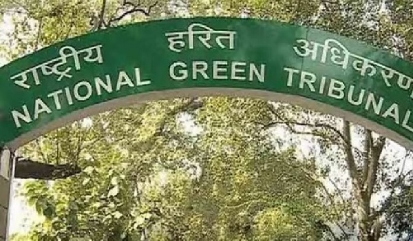 National Green Tribunal formed a committee to look into the complaint ...